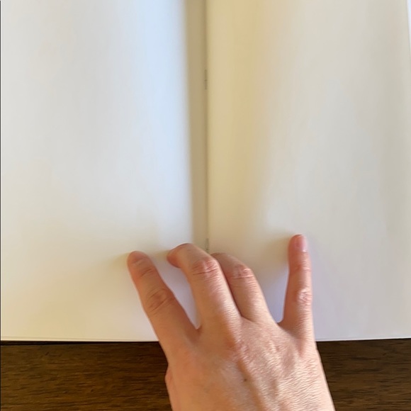 NWT Carrot and Stick blank notebooks - Picture 4 of 6